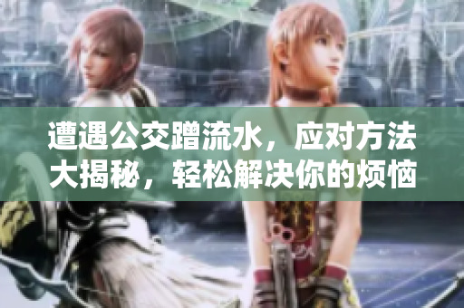 遭遇公交蹭流水，應(yīng)對(duì)方法大揭秘，輕松解決你的煩惱